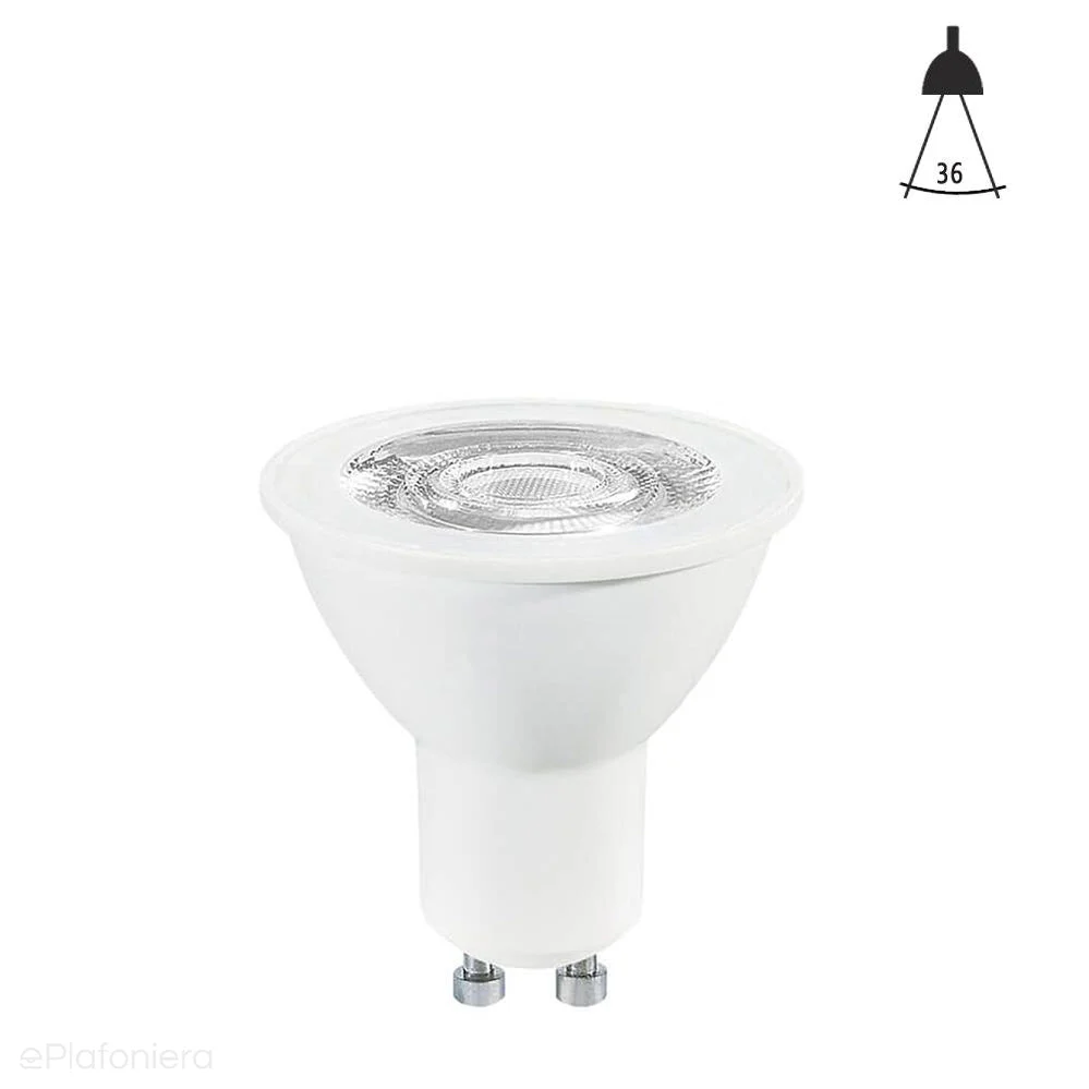 Zdjęcie produktu 8